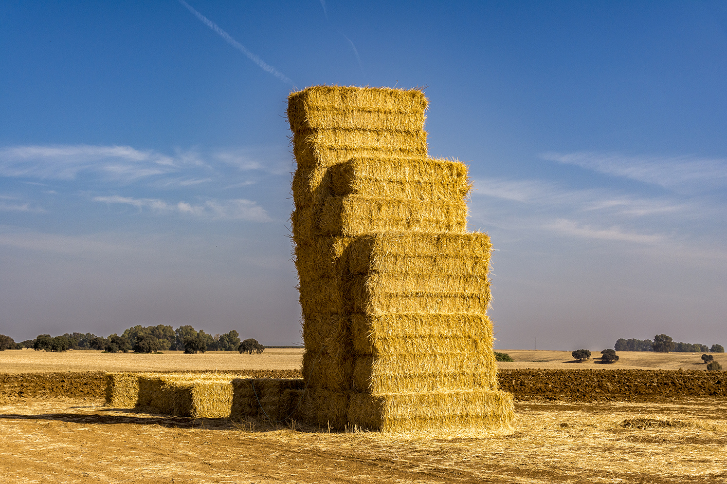 2025. OCTUBRE. TEMA: 